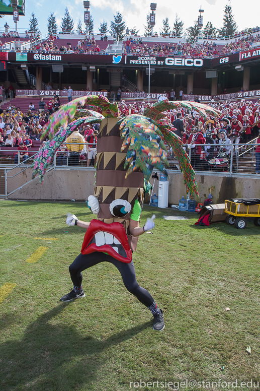 Stanford Homecoming 2014